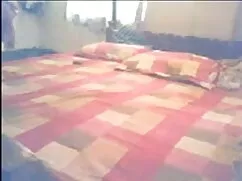 এনএসভি014_গোল্ডেগ্রে ...