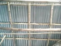 উভমুখি যৌনতার, মেয়ে ...