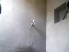 এটা যথেষ্ট রেশমি চুদ ...