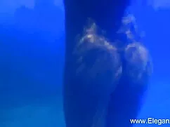 স্বামী ও স্ত্রী মাহি ...