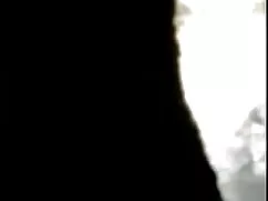 পর্নোতারকা, গরুর চুদ ...