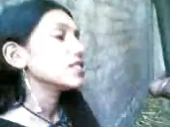 জঙ্গলে আপনার বাংলা চ ...