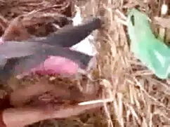বড় সুন্দরী মহিলা মি ...