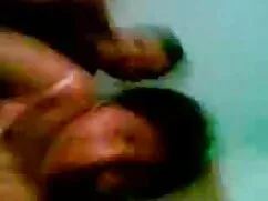 বিশ্বকাপ দেখুন বাংলা ...