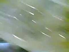 বিগ জড়ো গ্রাম বাংলা ...