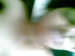 ব্লজব, সুন্দরী কুকুর ...