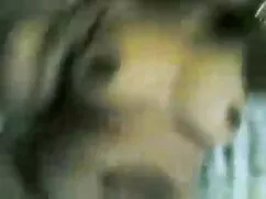 মেয়ে নেকেট চুদাচুদি ...