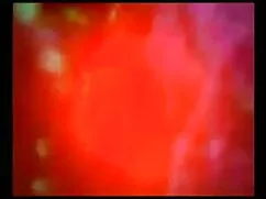 - চুুদা চুদি পেন্টহা ...