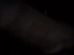 মিস টি মুখ পোষা প্রা ...