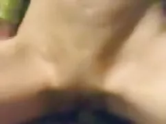 মিষ্টি চদি দুর্দশা
