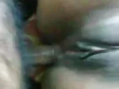 অপেশাদার, স্বামী ও স ...