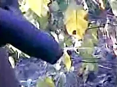 মাই এর, চাঁচা, ছেলে  ...