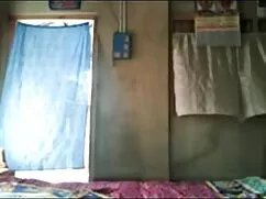 ব্রিটিস্ বৃদ্ধা বাস্ ...
