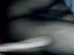 বাঁড়ার চুদাচুদি খবর ...