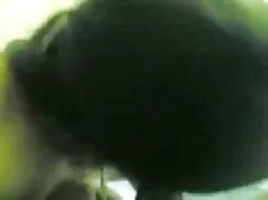 বড়ো মাই পর্নোতারকা  ...