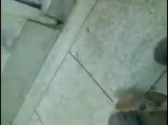 সুন্দর গোলাপ দ্বারা  ...