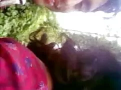 নাস্তার জন্য কচি মাল ...