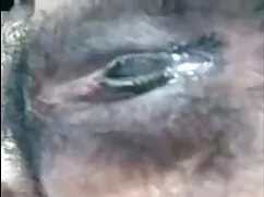 মেয়েদের হস্তমৈথুন,  ...