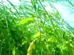 মহিলার x চুদা চুদি দ ...