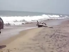 বাঁড়ার রস খাবার, বা ...